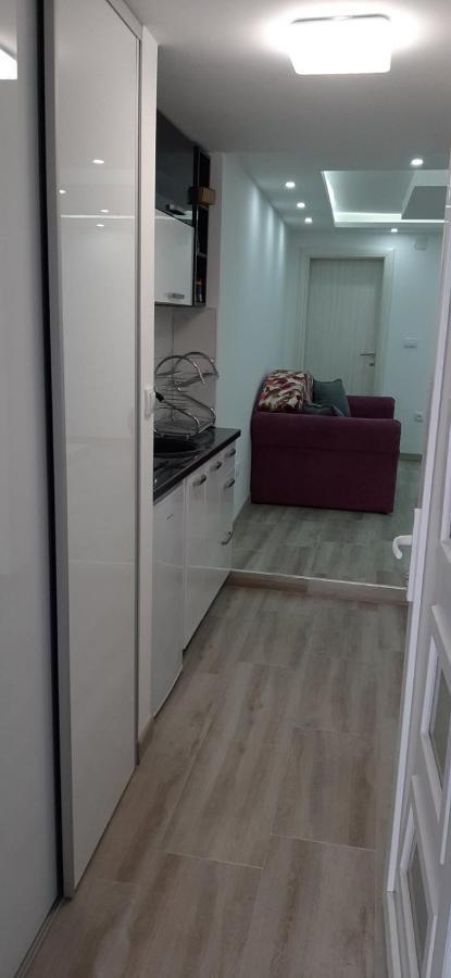 Adrijana 2 Apartmani Vrnjačka Banja エクステリア 写真